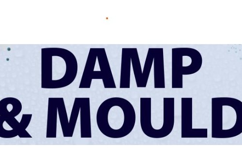 Damp And Mould 